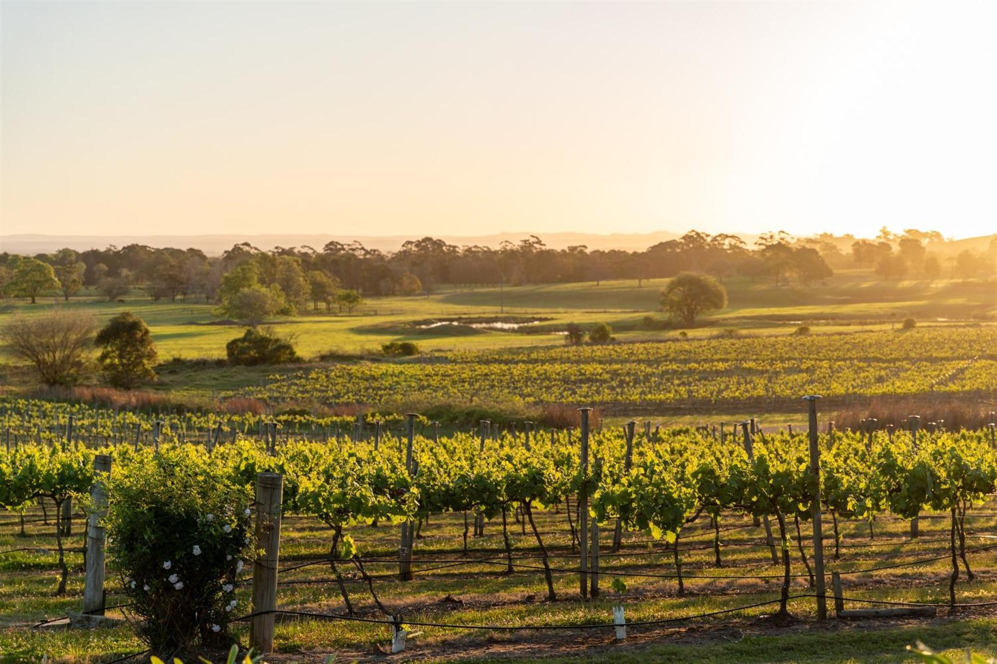 Coolangatta Estate Shoalhaven Heads Motel Екстериор снимка