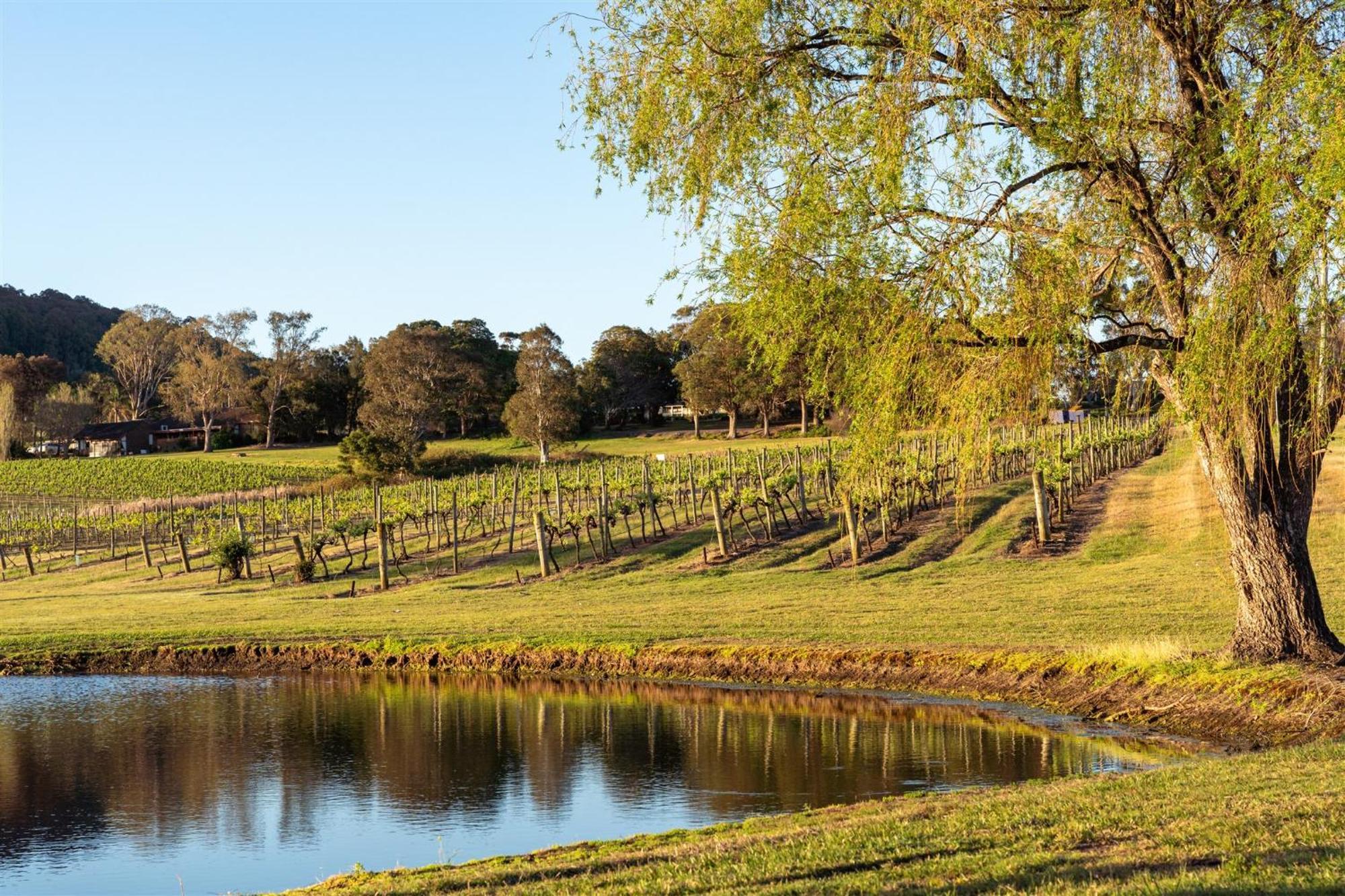 Coolangatta Estate Shoalhaven Heads Motel Екстериор снимка