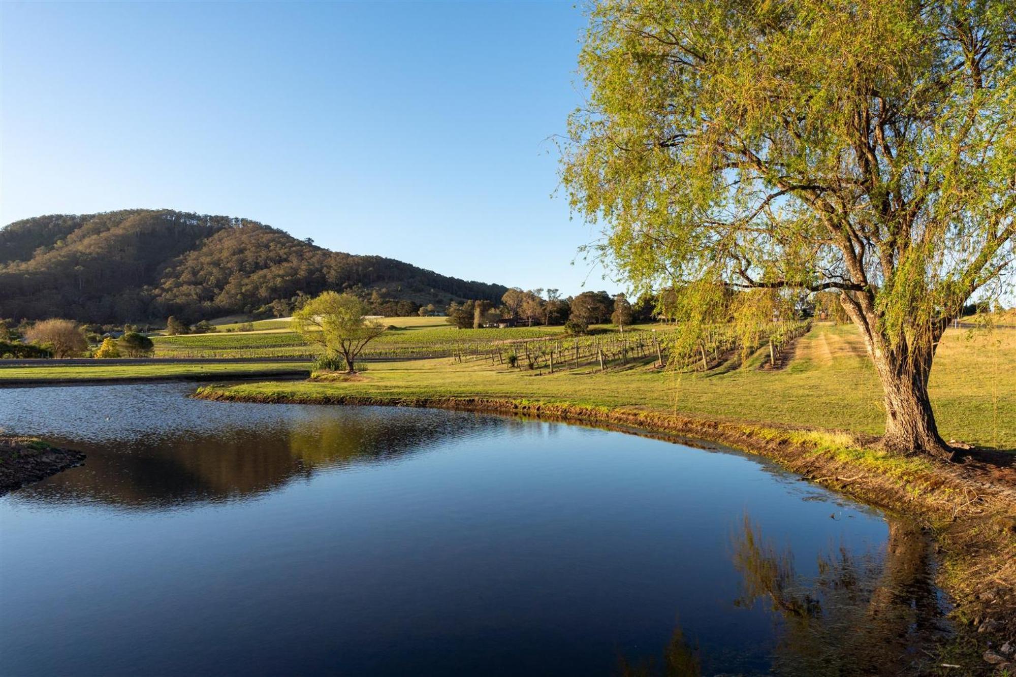 Coolangatta Estate Shoalhaven Heads Motel Екстериор снимка